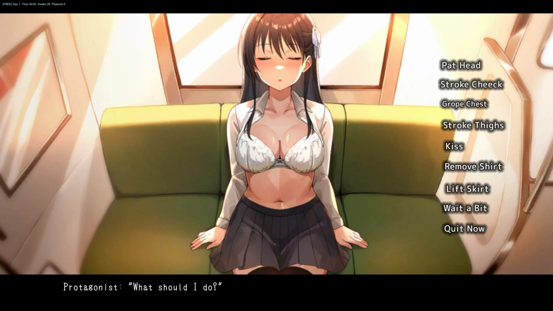 Sleeping Train Molester screenshot 2