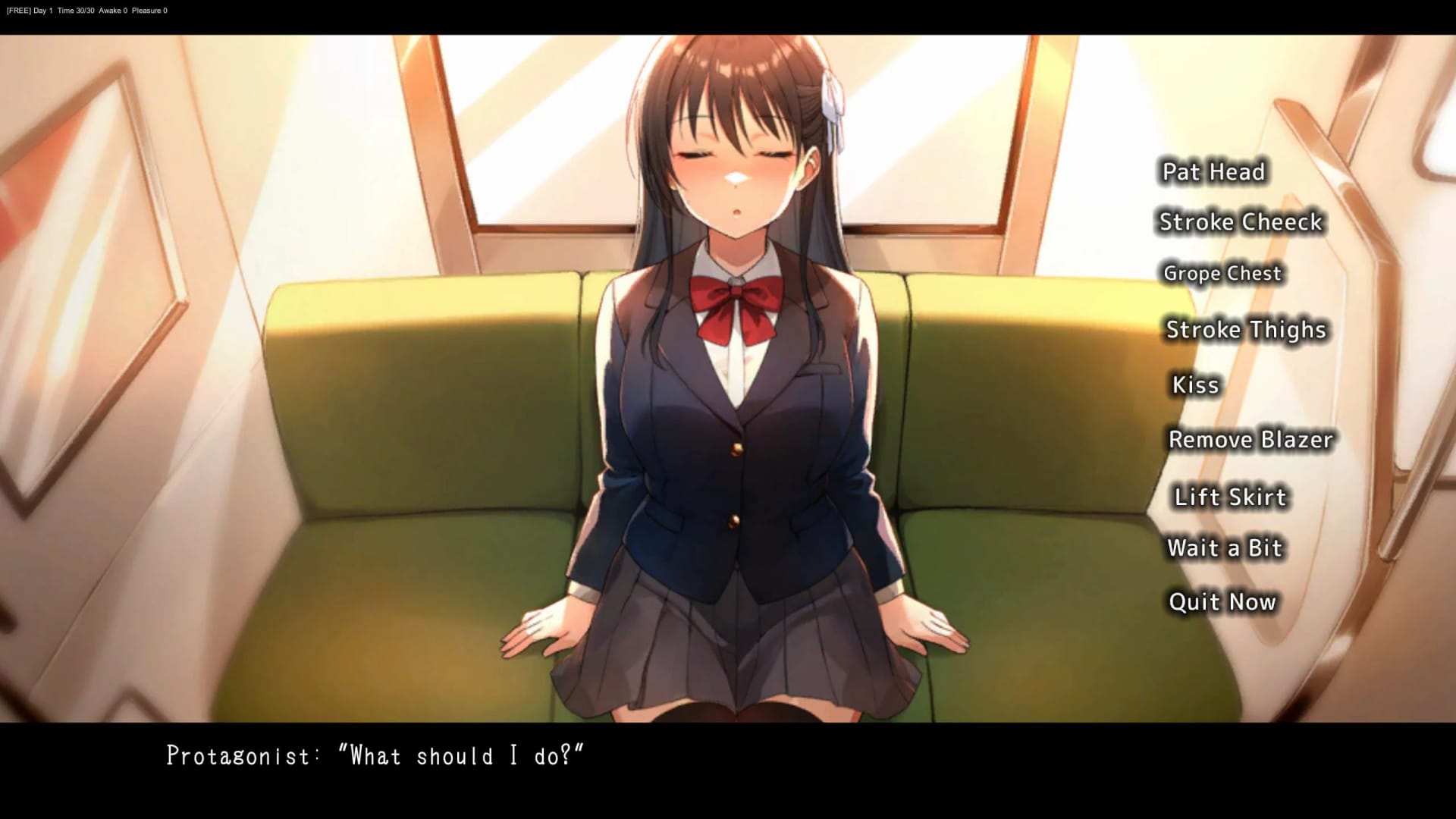 Sleeping Train Molester screenshot 3