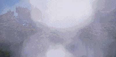 Wild Life screenshot 2
