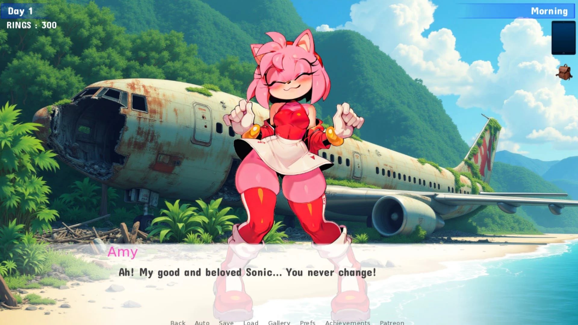 Sonic IDS Quest screenshot 2