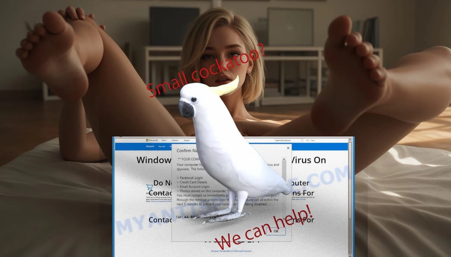 Transfigure Refresh screenshot 2