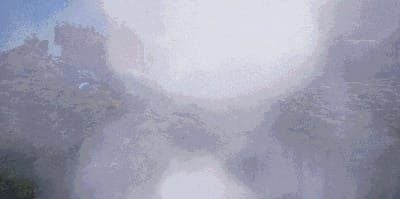 Wild Life screenshot 2