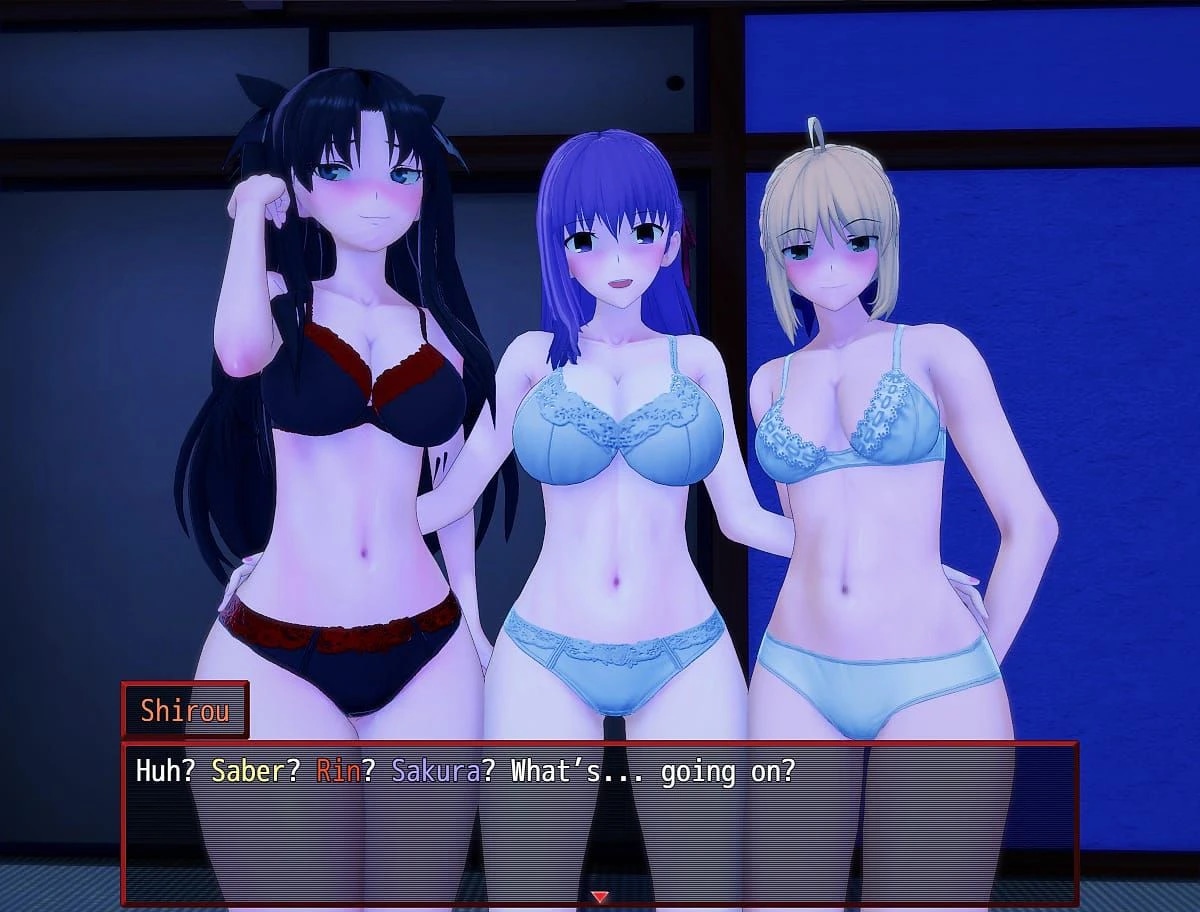 Fate/Stray Night screenshot 1