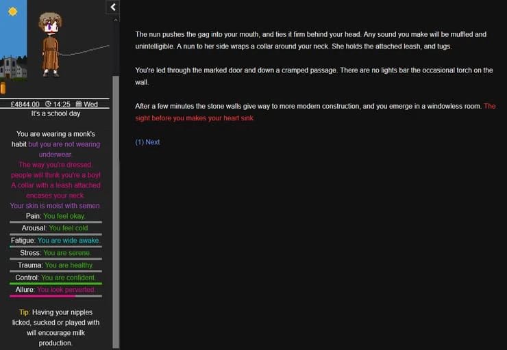 Degrees of Lewdity screenshot 3
